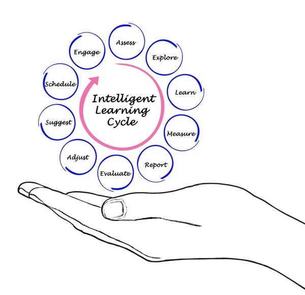 Stages of Intelligent Learning Cycle — Stock Photo, Image